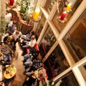 Bilder zu Nachtcafé zur Wilden Erica  in Regensburg